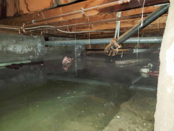 Best 24/7 water damage repair  in Boonsboro, MD