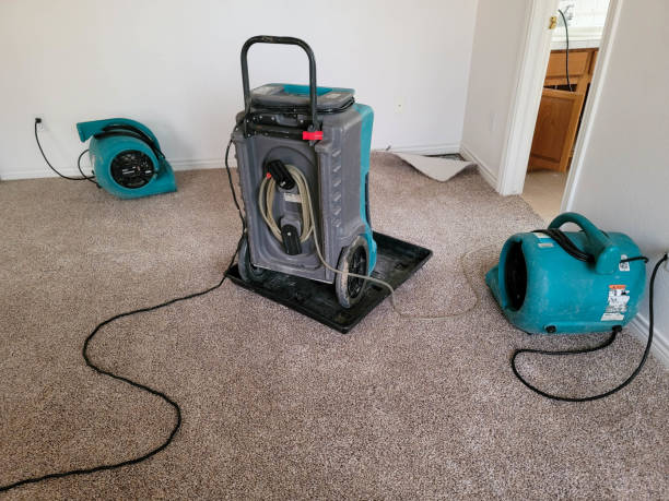 Trusted Boonsboro, MD Water damage restoration Experts