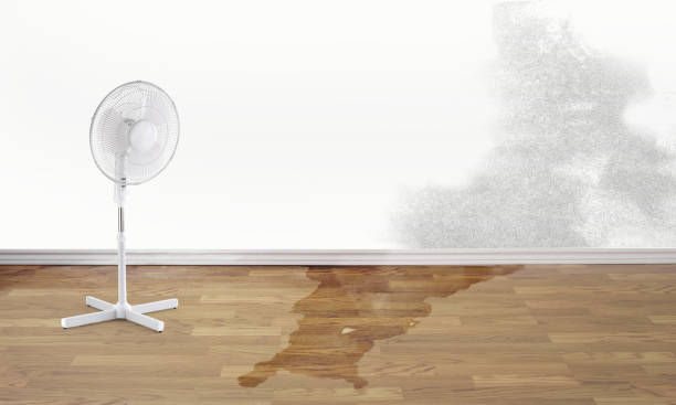  Boonsboro, MD Water damage restoration Pros