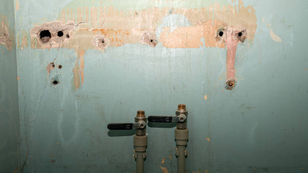 Best Ceiling water damage repair  in Boonsboro, MD