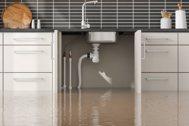 Best Water damage restoration near me  in Boonsboro, MD