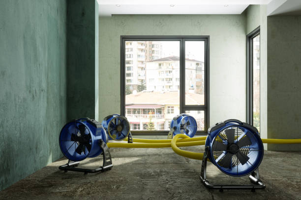 Best Basement water damage restoration  in Boonsboro, MD