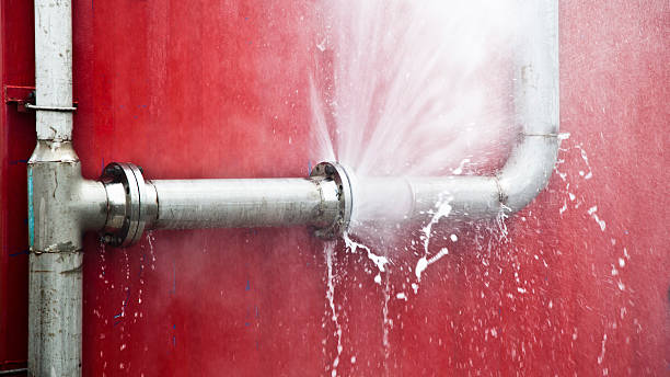 Best Carpet water damage restoration  in Boonsboro, MD