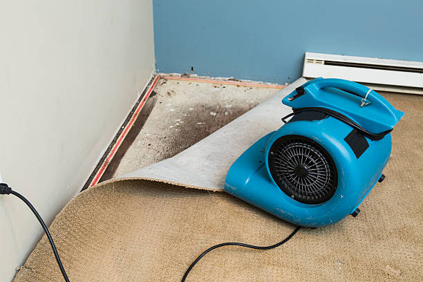 Best Water damage restoration services  in Boonsboro, MD